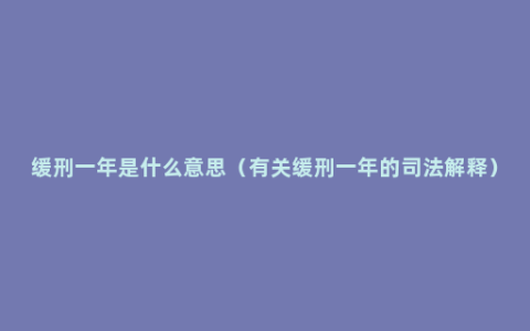 缓刑一年是什么意思（有关缓刑一年的司法解释）