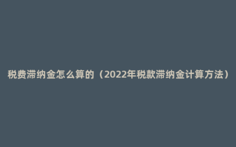 税费滞纳金怎么算的（2022年税款滞纳金计算方法）