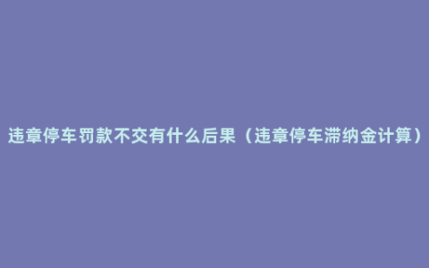 违章停车罚款不交有什么后果（违章停车滞纳金计算）