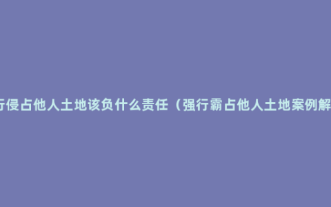 强行侵占他人土地该负什么责任（强行霸占他人土地案例解析）