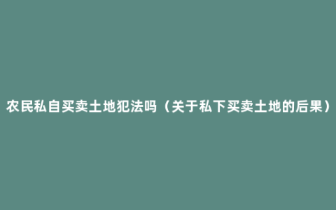 农民私自买卖土地犯法吗（关于私下买卖土地的后果）