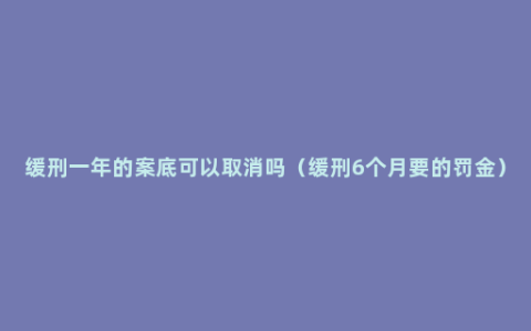 缓刑一年的案底可以取消吗（缓刑6个月要的罚金）