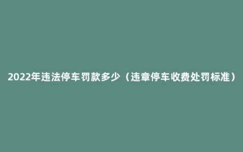 2022年违法停车罚款多少（违章停车收费处罚标准）