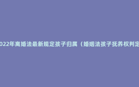 2022年离婚法最新规定孩子归属（婚姻法孩子抚养权判定）