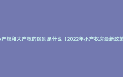 小产权和大产权的区别是什么（2022年小产权房最新政策）