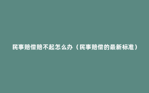 民事赔偿赔不起怎么办（民事赔偿的最新标准）