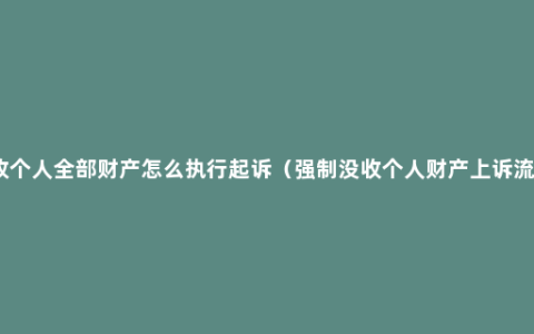 没收个人全部财产怎么执行起诉（强制没收个人财产上诉流程）