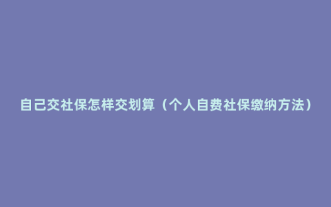 自己交社保怎样交划算（个人自费社保缴纳方法）