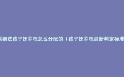 婚姻法孩子抚养权怎么分配的（孩子抚养权最新判定标准）