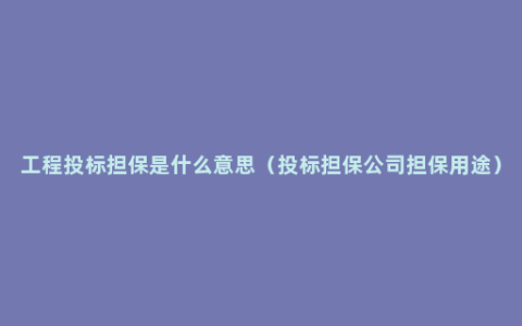 工程投标担保是什么意思（投标担保公司担保用途）