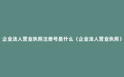 企业法人营业执照注册号是什么（企业法人营业执照）