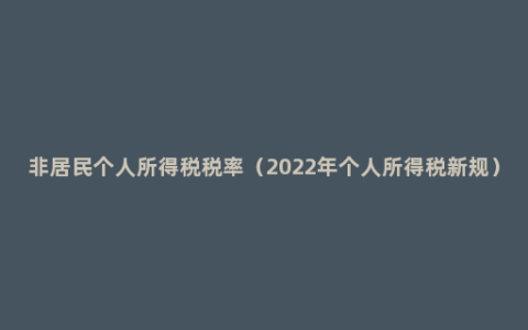 非居民个人所得税税率（2022年个人所得税新规）