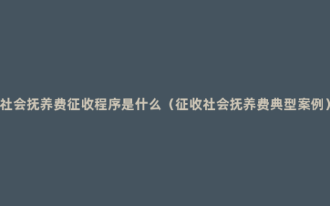 社会抚养费征收程序是什么（征收社会抚养费典型案例）