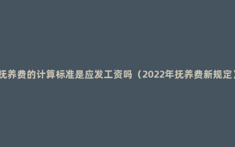 抚养费的计算标准是应发工资吗（2022年抚养费新规定）