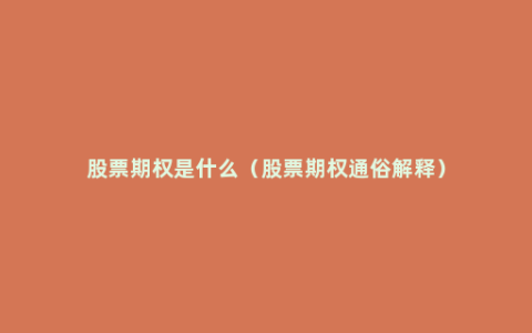 股票期权是什么（股票期权通俗解释）