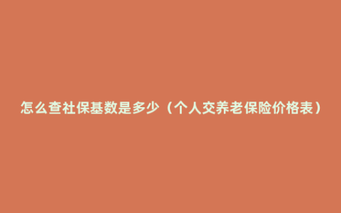 怎么查社保基数是多少（个人交养老保险价格表）