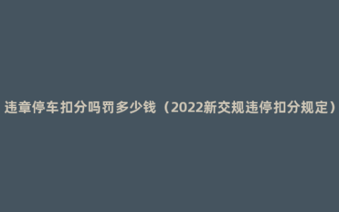 违章停车扣分吗罚多少钱（2022新交规违停扣分规定）