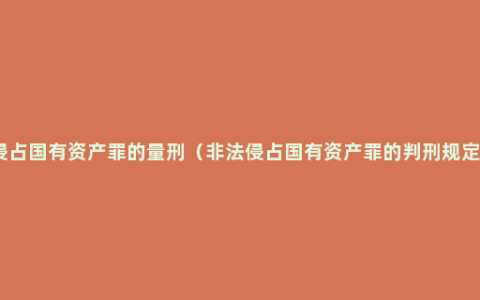 侵占国有资产罪的量刑（非法侵占国有资产罪的判刑规定）