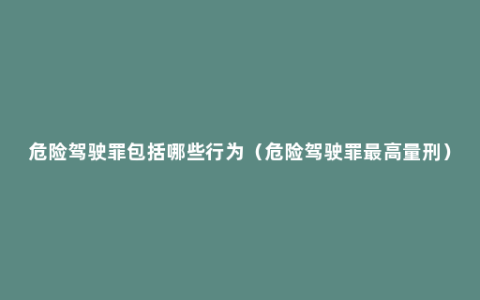 危险驾驶罪包括哪些行为（危险驾驶罪最高量刑）