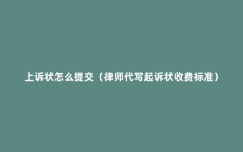 上诉状怎么提交（律师代写起诉状收费标准）