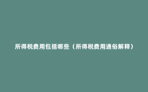 所得税费用包括哪些（所得税费用通俗解释）