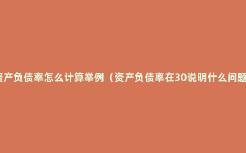 资产负债率怎么计算举例（资产负债率在30说明什么问题）