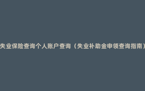 失业保险查询个人账户查询（失业补助金申领查询指南）