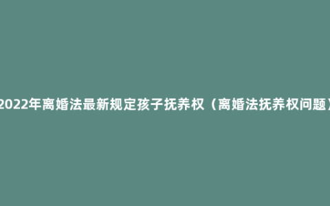 2022年离婚法最新规定孩子抚养权（离婚法抚养权问题）