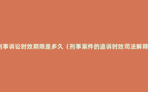 刑事诉讼时效期限是多久（刑事案件的追诉时效司法解释）