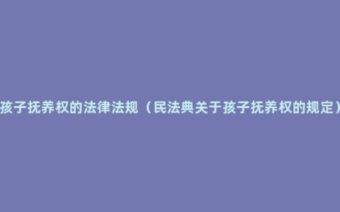 孩子抚养权的法律法规（民法典关于孩子抚养权的规定）