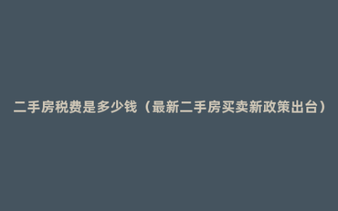 二手房税费是多少钱（最新二手房买卖新政策出台）