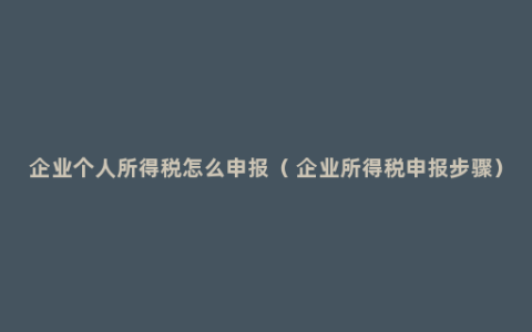 企业个人所得税怎么申报（ 企业所得税申报步骤）