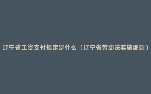 辽宁省工资支付规定是什么（辽宁省劳动法实施细则）