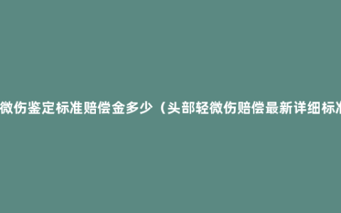 轻微伤鉴定标准赔偿金多少（头部轻微伤赔偿最新详细标准）