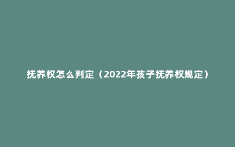 抚养权怎么判定（2022年孩子抚养权规定）