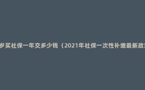 45岁买社保一年交多少钱（2021年社保一次性补缴最新政策）