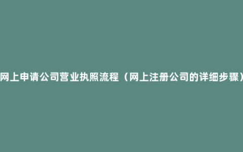 网上申请公司营业执照流程（网上注册公司的详细步骤）