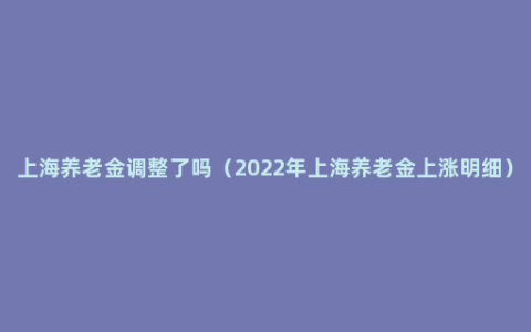 上海养老金调整了吗（2022年上海养老金上涨明细）