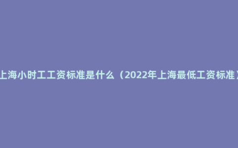 上海小时工工资标准是什么（2022年上海最低工资标准）