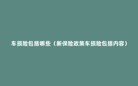 车损险包括哪些（新保险政策车损险包括内容）