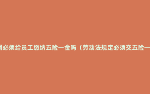 公司必须给员工缴纳五险一金吗（劳动法规定必须交五险一金）