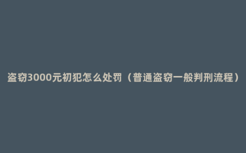 盗窃3000元初犯怎么处罚（普通盗窃一般判刑流程）