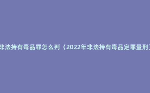 非法持有毒品罪怎么判（2022年非法持有毒品定罪量刑）