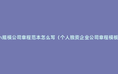 小规模公司章程范本怎么写（个人独资企业公司章程模板）