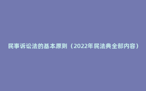 民事诉讼法的基本原则（2022年民法典全部内容）