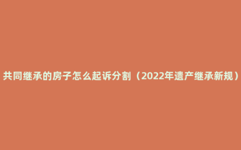 共同继承的房子怎么起诉分割（2022年遗产继承新规）