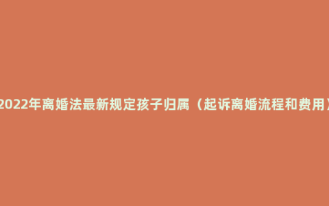 2022年离婚法最新规定孩子归属（起诉离婚流程和费用）