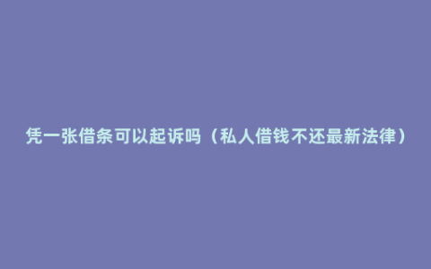 凭一张借条可以起诉吗（私人借钱不还最新法律）