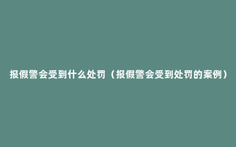 报假警会受到什么处罚（报假警会受到处罚的案例）