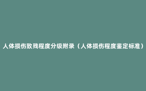 人体损伤致残程度分级附录（人体损伤程度鉴定标准）